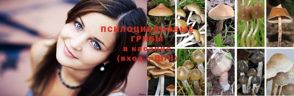 экстази Алексин