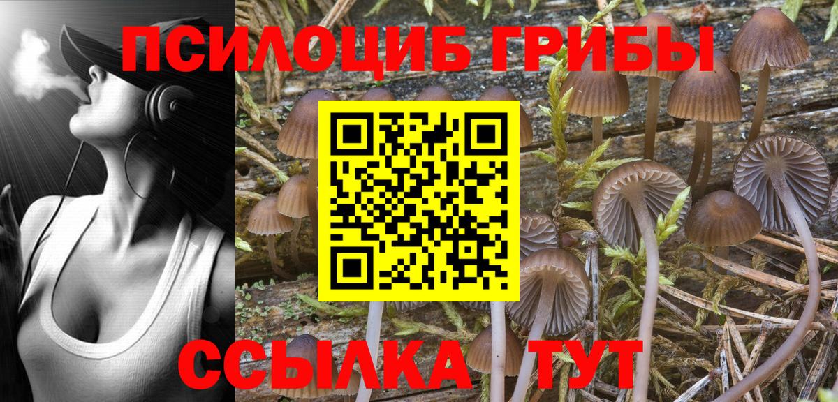 Ейск  Псилоцибиновые грибы ЛСД  Вход с VPN  Псилоцибиновые грибы Psilocybe 